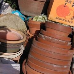 植木鉢　差し上げます。取りに来ていただける方の画像