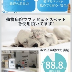 ペット消臭　ファビュラス・詰替え用2L＋300ml空スプレーボトル付の画像