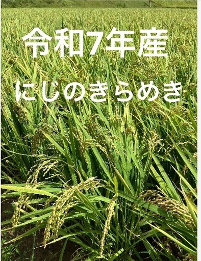 【湯浅でお渡し]令和7年産にじのきらめき玄米
