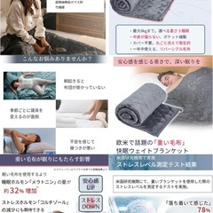 炭眠 SUMIMIN ウェイトブランケット 5kgの画像