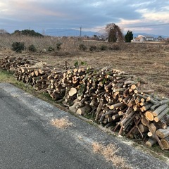 薪　太枝　玉切り丸太　薪等にの画像