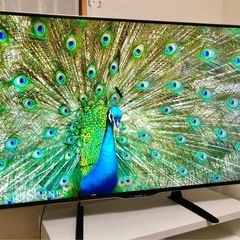 テレビ 55型 fire stick付きの画像