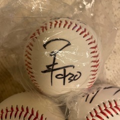 元阪神タイガース　直筆サインボールの画像