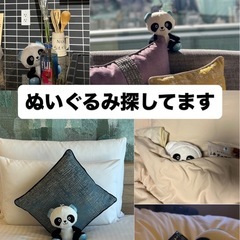 パンダのぬいぐるみ探してます