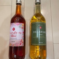 ワイン福井県産2本(定価1本1700円)の画像