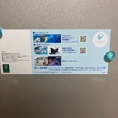 ①新江ノ島水族館招待券2枚の画像