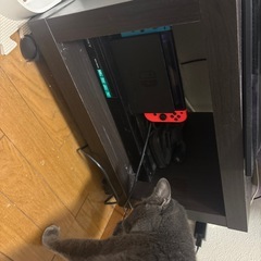 【kamesan購入】テレビ台の画像