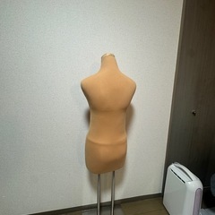 トルソーの画像