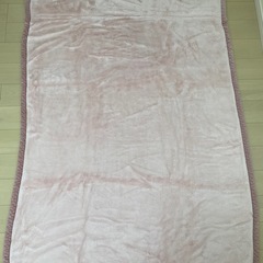 東京西川　　毛布　シングルの画像