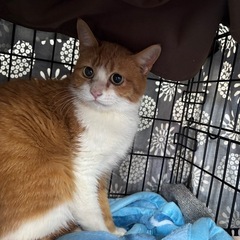 動画付💖まんまるお目々小柄な体の女の子💖甘えんぼ🐾1月18…