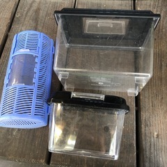 飼育ケース３個セット🎵の画像