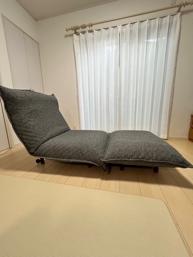 フランスベッド ライフィット Lifit