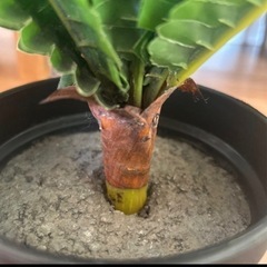 【お譲り決定】フェイクグリーン　造花　2つセット④の画像