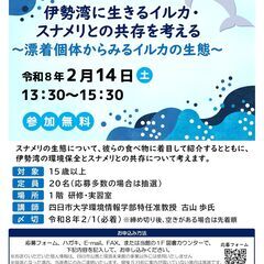 伊勢湾に生きるイルカ・スナメリとの共存を考える〜漂着個体か…