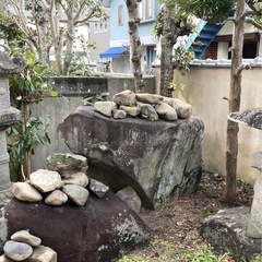 ✿ 庭木の抜根をお願いできる方募集