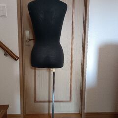 トルソー レディースの画像