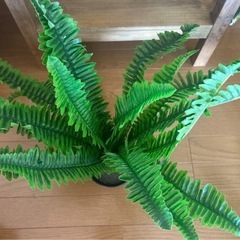 フェイクグリーン　造花　2つセット ②の画像