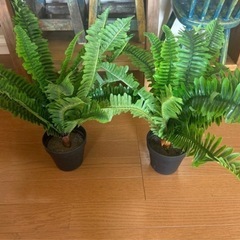 フェイクグリーン　造花　2つセット ②の画像