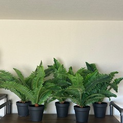 フェイクグリーン　造花　2つセット ②の画像