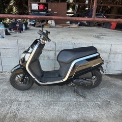 原付　ダンク
の画像