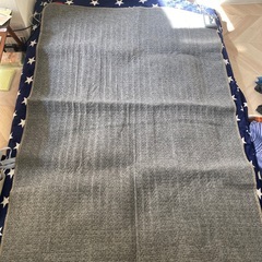 電気カーペットの画像