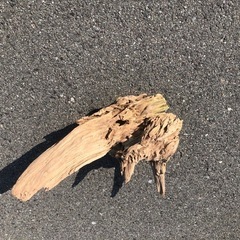 流木　ハンドメイド　水槽　インテリアの画像