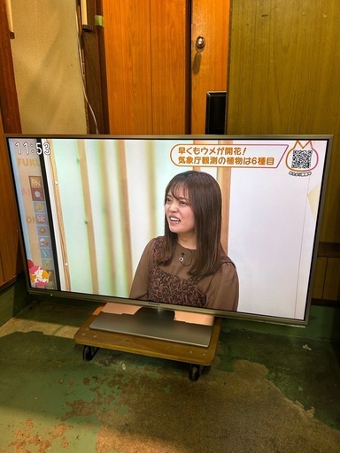 Panasonic VIERA  TH-L42DT60 42型