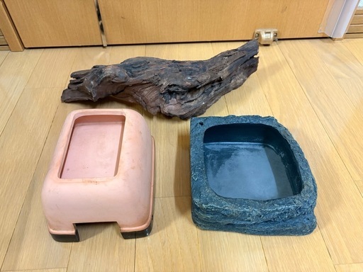 GEX エキゾテラ グラステラリウム 4530 (ひまわり) 本輪西のその他の