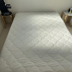 3月末発売：ニトリベッドの画像