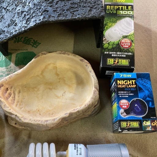 爬虫類　飼育用品