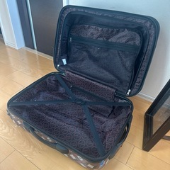 キャリーバッグ　1泊から2泊用の画像