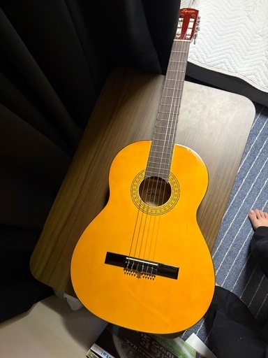 squier sa-150n
