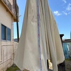 パラソルの画像