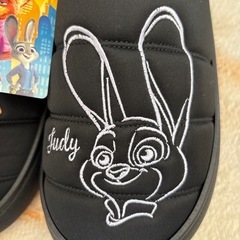 【未使用】ZoolopiAスリッポンサンダルの画像