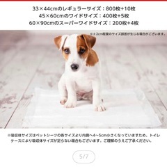 ペットシート　約700枚の画像