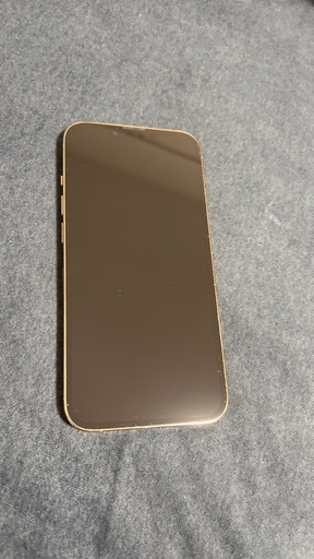 【受け渡し決定】iPhone13Pro