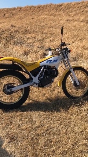 TLM197cc　2ストローク