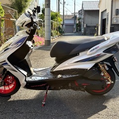 シグナス2型用DCRエアロの画像