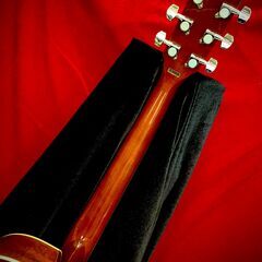 Stafford SF250F 初心者向けアコギ♪価格以上のクオリティ!!エントリーモデルなのに単板トップ!!の画像