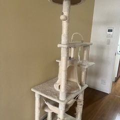 キャットタワーの画像
