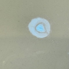 A8025【ウエッジウッド】クィーンズウェア プロバンス プレート 3枚の画像