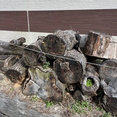 【無料】大型クスノキの朽ちた丸太（直径最大60cm）｜天然の防虫・殺菌効果！畑の土壌改良にの画像