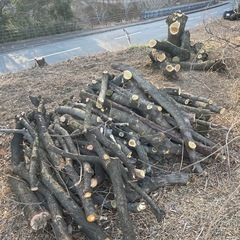 原木、薪、さしあげます群馬県前橋市の画像