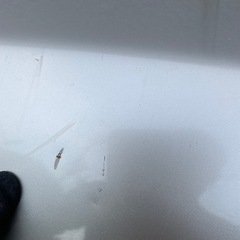 ボンネット　ワゴンR   AZワゴン用の画像