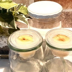 【即渡】水耕栽培専用ピン・透明10cm（食用・観葉植物OK）部屋の中でおしゃれな栽培に！の画像