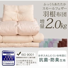 羽根布団 カバーなしの画像