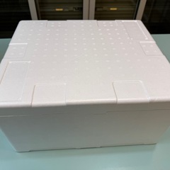 発泡スチロール 発泡容器 クーラーBOX 1回使用　　の画像