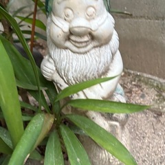 7人の小人の画像