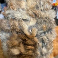 ラビットファー帽子の画像