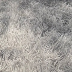 カーペット ラグ200×300の画像